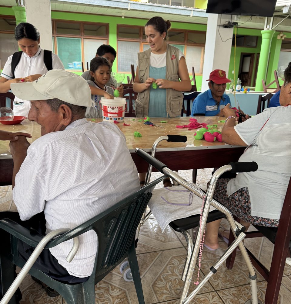 Voluntariado